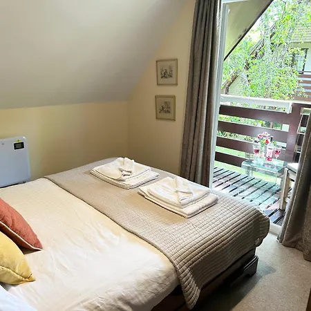 Chalet Trevithick 46