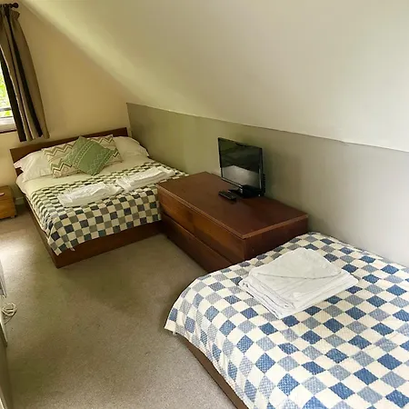 Chalet Trevithick 46